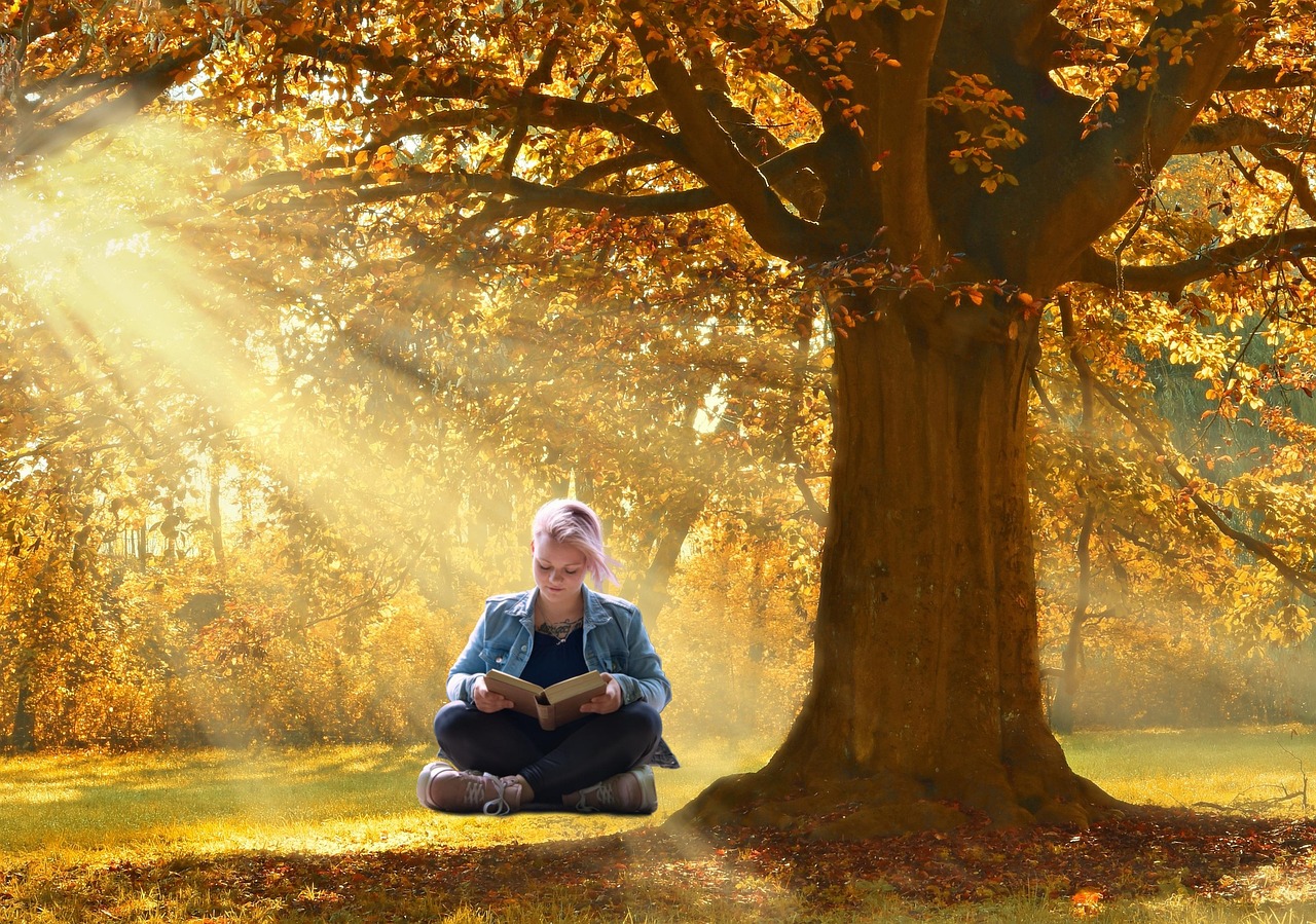 girl, book, tree, reading, imagination, novel, story, outdoors, literature, nature, reading, imagination, imagination, imagination, imagination, imagination